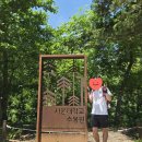 안양역 메타볼자전거주차장 | [경기 안양여행]무려 58년 만에 개방된 우리나라 최초의 학교수목원(서울대학교 농업생명과학대학 안양...