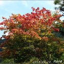 서대산약초