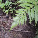 우성재활의학과의원 이미지