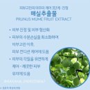 상분이스킨