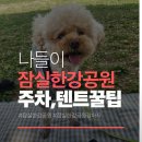 그늘막53 | 강아지와 잠실 한강공원 나들이 후기, 주차부터 그늘막 텐트 시간까지 최신 정보 정리