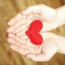 도안 한라비발디 이미지