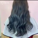 진헤어버스 네이버블로그