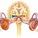 휴보청기 중랑 난청센터 이미지