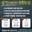 [25년 2분기] 기초농구교실 | [동탄 동탄2신도시 오산 용인 수원 ] 성인여자 농구교실 레슨