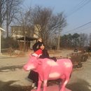 솔뫼목장 이미지