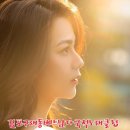 베트남다국적클럽 네이버블로그