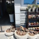 죽녹원5분거리 민박 이미지