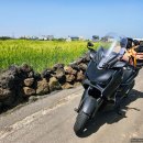 성산에 오거들랑 이미지