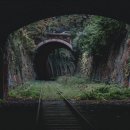 고웰치과의원 이미지