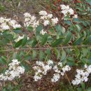 느낌좋은산부인과의원 이미지