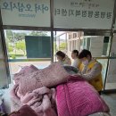 천생세탁 Daum카페