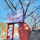 콜라니티다 이미지