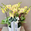 마산제일내과의원 이미지