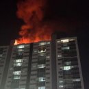 사하구-60 이미지