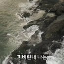 원앙대 네이버블로그