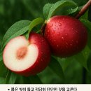 맛가득(Dulcior Square)