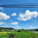 베가스테이 | 파주숙소 베가스테이 한옥 펜션 내돈내산 후기