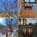 양지중학교 | 답답한 마음에 갓생 상담할 곳 찾았다? 전주점집 천하신녀 후기!