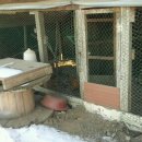 산양시외버스터미널 이미지