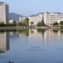 의상디자인 야간 이미지