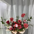 배우 한지민 드라마 힙하게 제작발표회 축하꽃바구니, 신도림꽃집