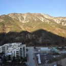한국엘랑코동물양품 (주) | 파크로쉬 리조트 강원도 정선 1박2일 나들이 후기 숙암트윈