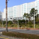 강정동-39 이미지