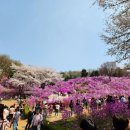 미꼬담 부천까치울점 이미지