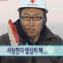 가이와칼사랑 이미지