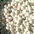 팥죽이네 이미지