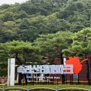 보은어린이공원 | 충북 보은 아이와 가볼만한곳 속리산테마파크 모노레일 스카이바이크 집라인