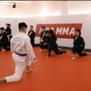 하바스MMA 압구정 이미지