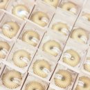 가동길 | 부산 웨딩답례품 추천｜결혼식 후 회사 복귀 감사선물 바디곡물비누 답례품 제작 후기