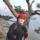 삼삼오 이미지