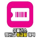 주식회사 중원모바일 | [제천 휴대폰하우스] 유플러스 멤버십 등급 및 혜택 사용 방법