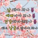 스마일점핑다이어트 이미지