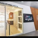 경희궁바른동물병원 이미지