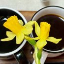 다시 봄 이미지