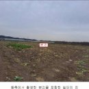 본오매송로 이미지