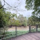 스테이자동차정비 | 걷기운동으로 선택한 자연 속 쉼터, 광릉수목원 둘레길