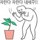 namoo안경 이미지