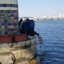 불나라2 이미지