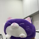 지지재 | 피부과 필로드 스킨부스터 리쥬란과 쥬베룩스킨맞다가 필로드 맞은 후기 어떻게 다를까 쫀쫀광채 모공삭제