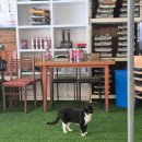 유명산산장 | 경기도 가평 설악면 유명산 바로 앞 계곡뷰 맛집 산장가든 내돈내먹 솔직후기