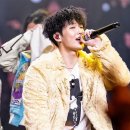 스왈로우 이미지