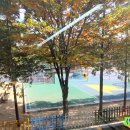 고잔역공인중개사사무소 이미지