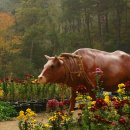 사계여행 이미지