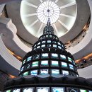 장대들길 이미지