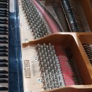 신곡중학교 이미지